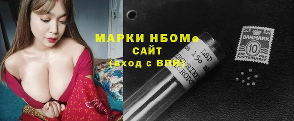 дживик Надым