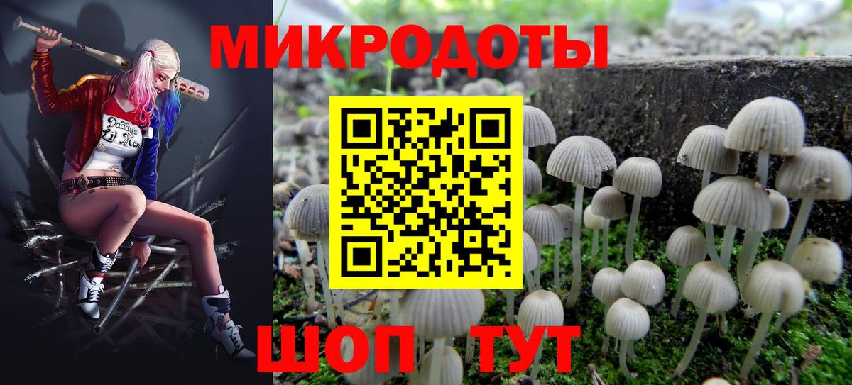 Тверь  Галлюциногенные грибы Cubensis  Вход с VPN 