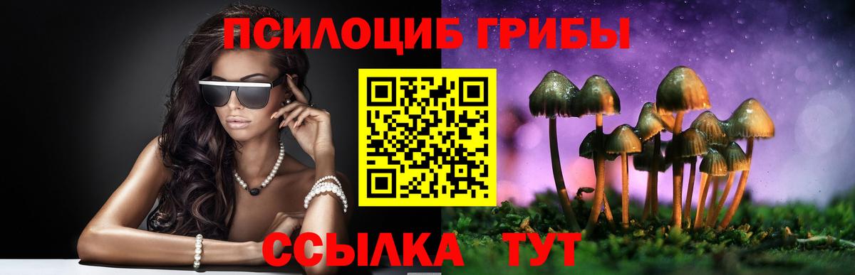 Псилоцибиновые грибы мицелий Тверь